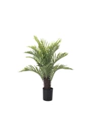 PALMERA 75 CM