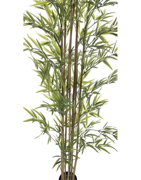 BAMBOO 180 CM 5 TRONCOS2