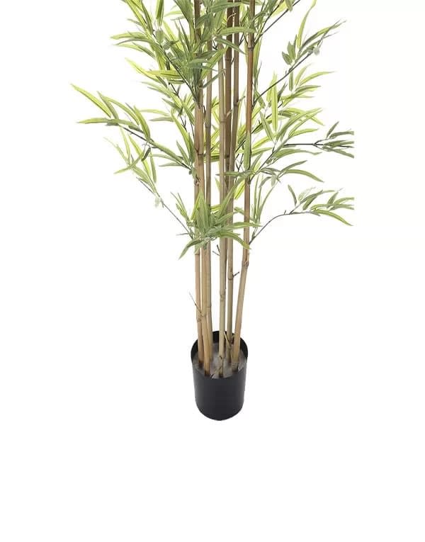 BAMBOO 180 CM 5 TRONCOS3