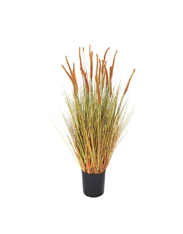 GRASS DOGTAIL AMARILLO ALTO 98 CM2