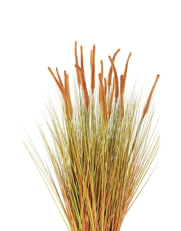 GRASS DOGTAIL AMARILLO ALTO 98 CM3