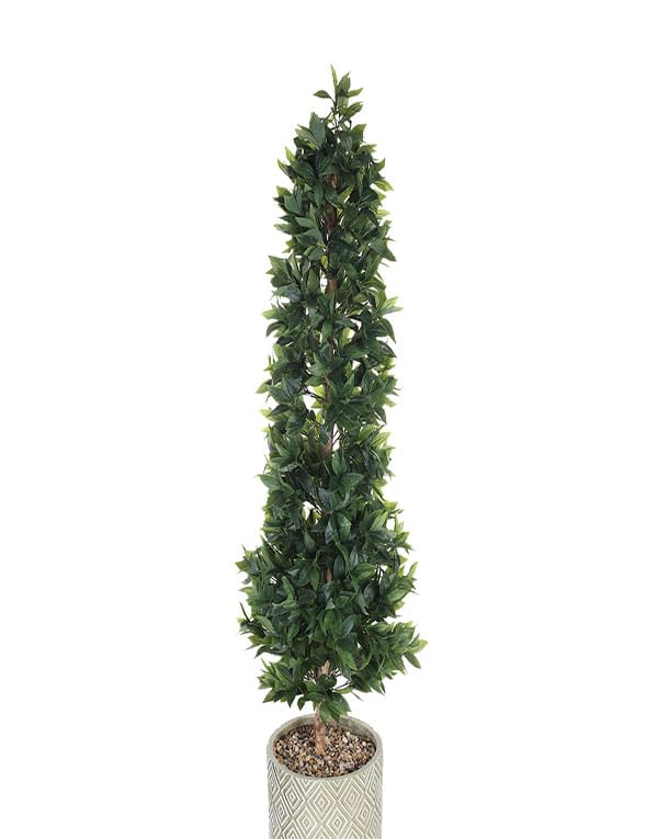 Laurel 185 cm con macetero incluido3