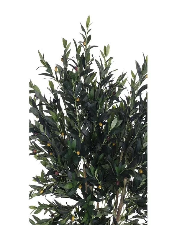 OLIVO ARBOL 150 CM3