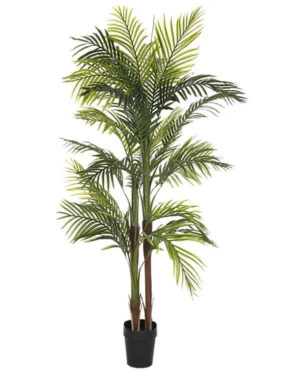 PALMERA  150 CM1