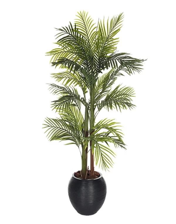 PALMERA  150 CM2