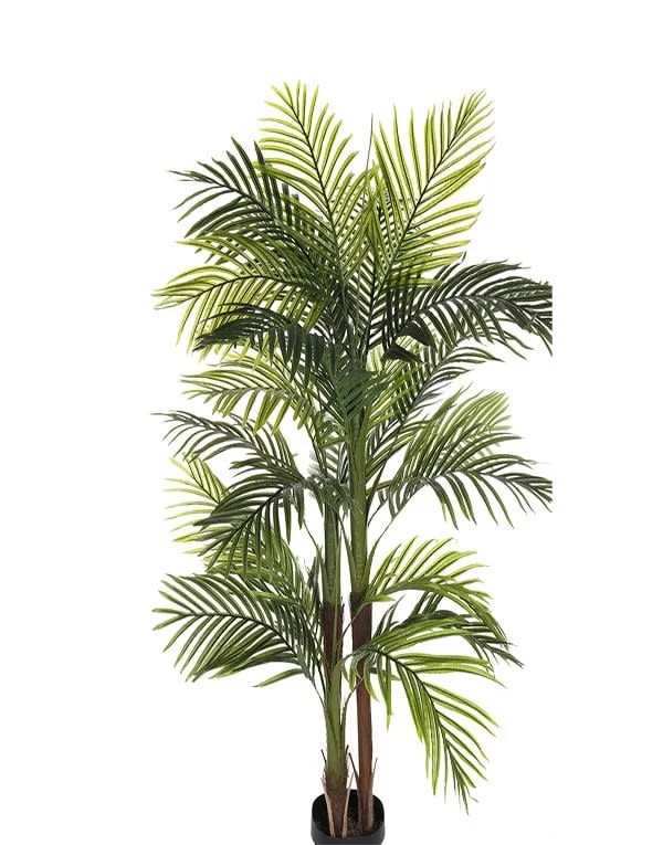 PALMERA  150 CM3