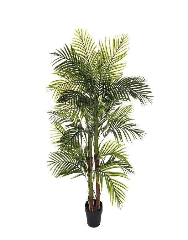 PALMERA  150 CM4