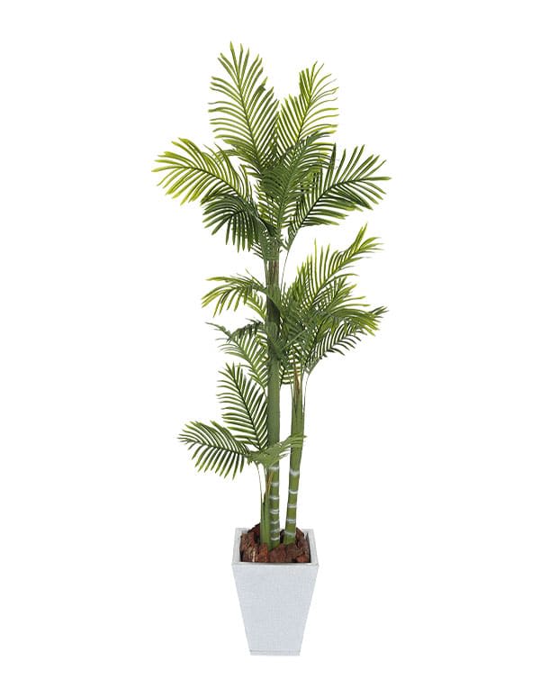 PALMERA 160 CM2
