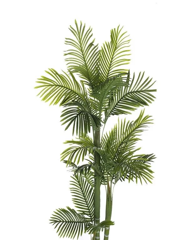 PALMERA 160 CM4