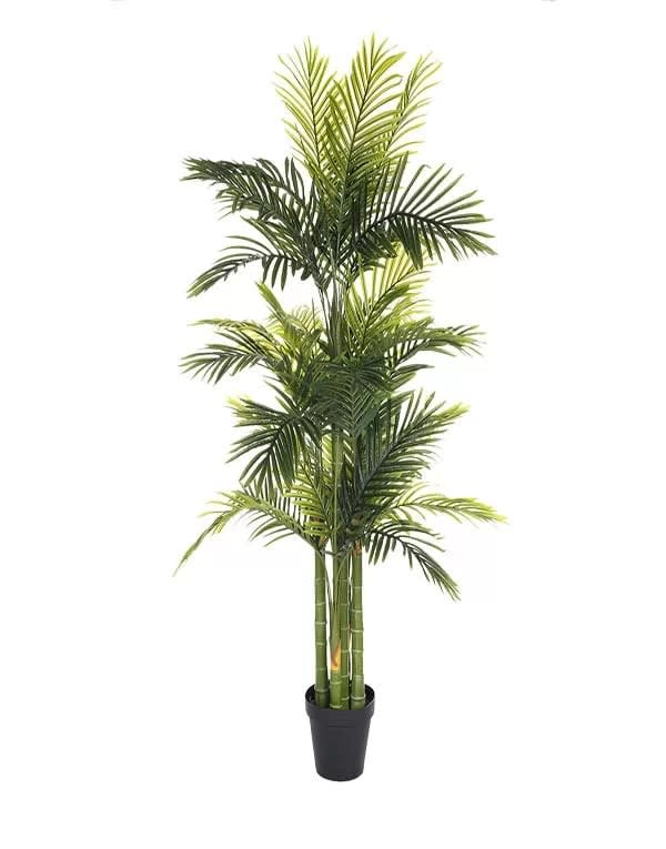PALMERA  180 CM3