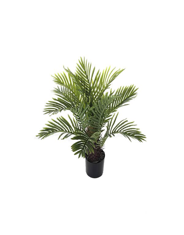 PALMERA 75 CM2