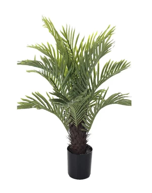 PALMERA 75 CM4