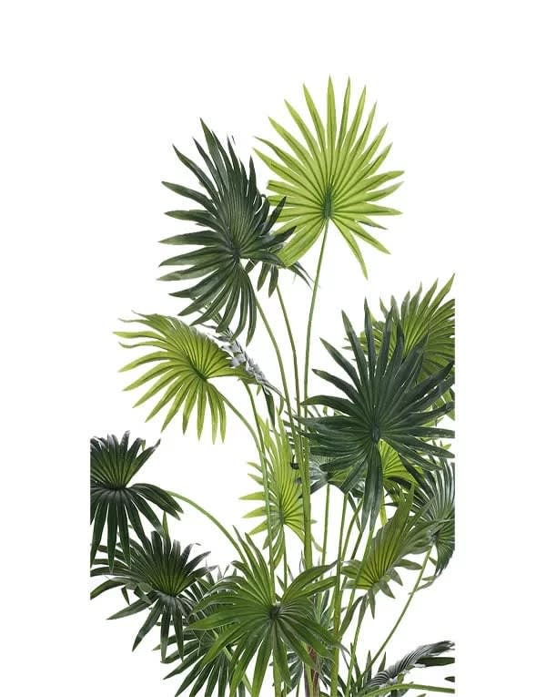 Palmera B 160 cm2