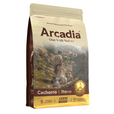 Arcadia Perro Cachorro1