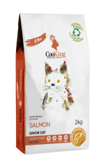 Cooking Cat Kitten