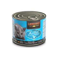 Lata Leonardo Quality Selection Kitten