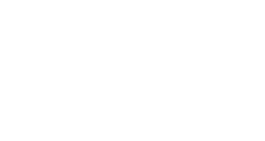 Michydent