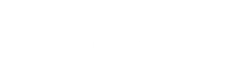 Michydent