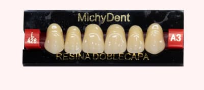 Dientes acrílicos 2 capas - Michydent1