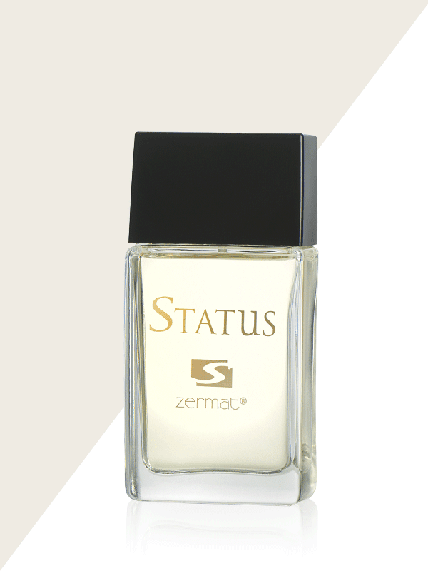 FRAGANCIA DE CABALLERO STATUS 100ML1