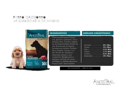 Ancestral Cachorro 10kg