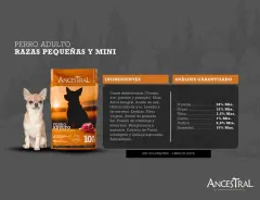 Ancestral Adulto Raza Pequeña 10kg