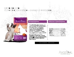 Ancestral Gato Adulto 10kg