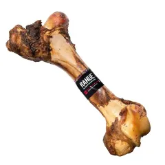 Rahue Femur Vauno
