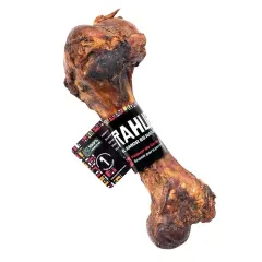Rahue Femur Cerdo