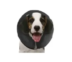 Collar de Proteccion Inflable Marben Procoll