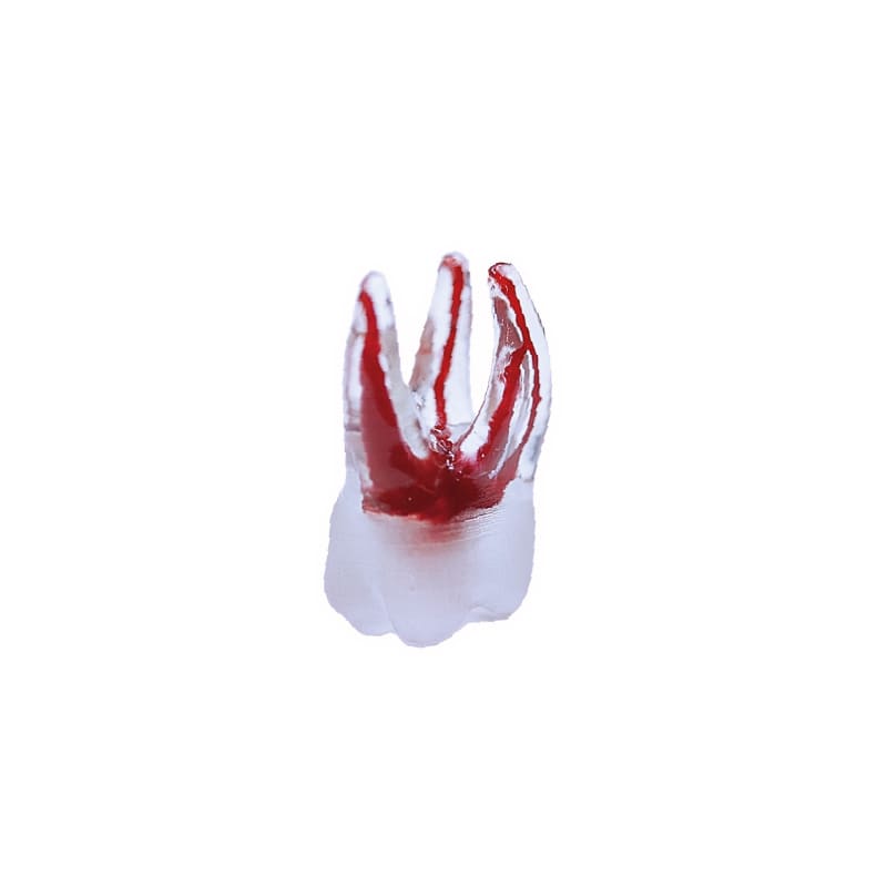 DIENTES SURPREENDENTE3