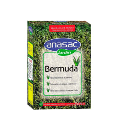 BERMUDA 250 GR ANASAC