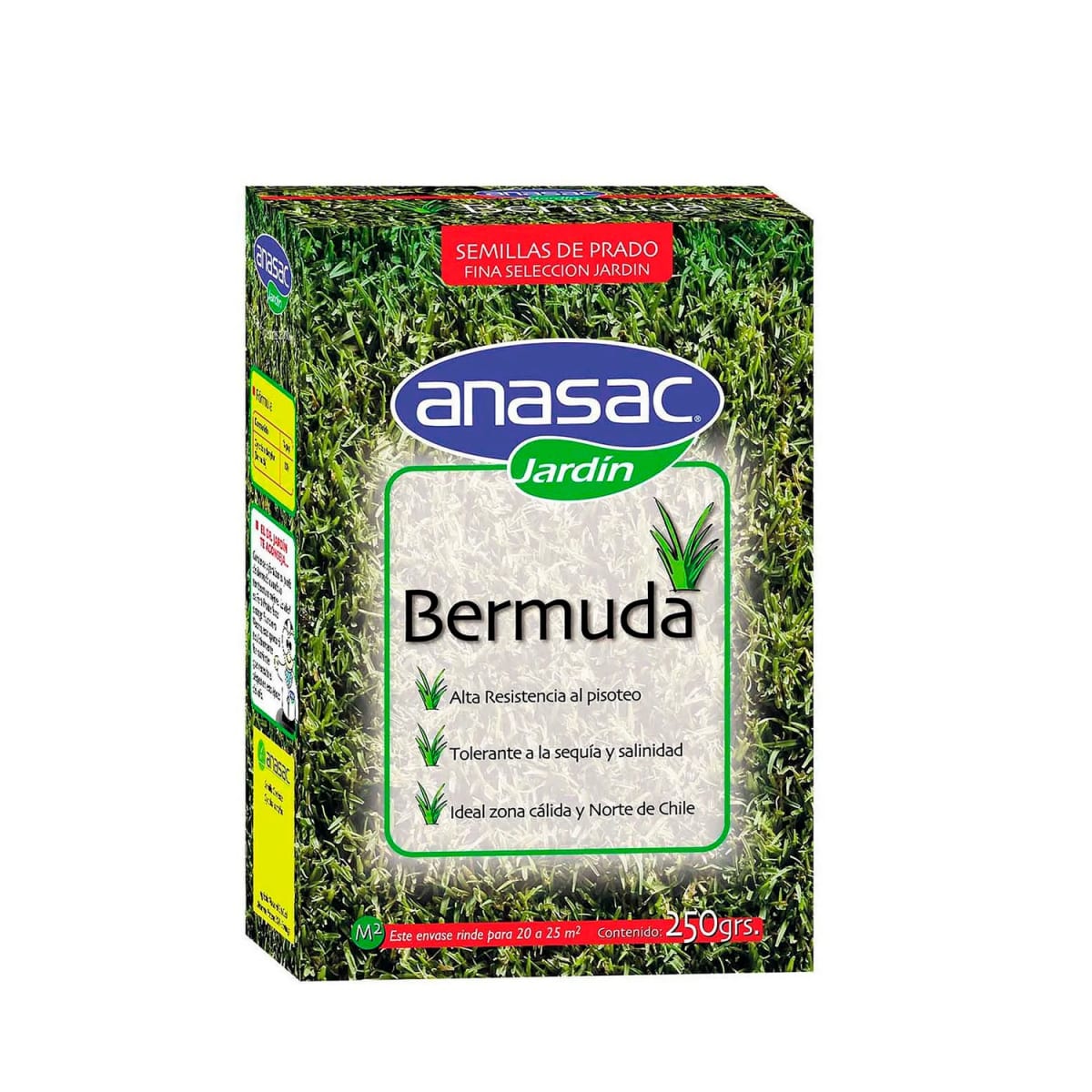 BERMUDA 250 GR ANASAC1
