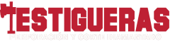 TESTIGUERAS.CL | Perforación y Corte Diamantado