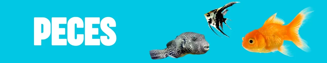 PECES