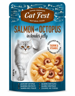 CAT FEST FILLETS SALMON Y PULPO 70G1