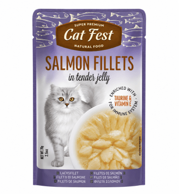 CAT FEST FILLETS SALMON  70G1