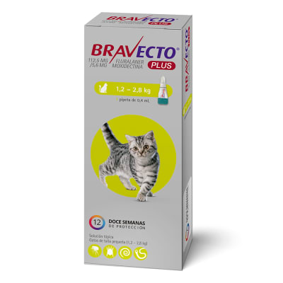 BRAVECTO PLUS GATO PIPETA 1.2 A 2.8 KG1