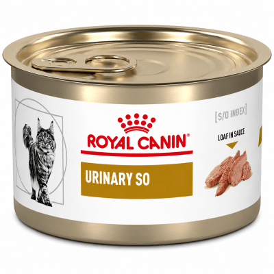 LATA URINARY SO FELINO1
