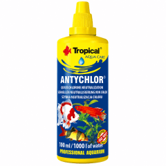 ANTYCHLOR TROPICAL