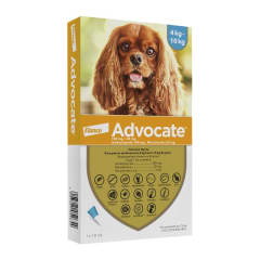 ADVOCATE PERRO 4 A 10 KG