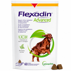 FLEXADINE ADVANCED 60 COMP