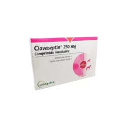 CLAVASEPTIN 10 COMPRIMIDOS