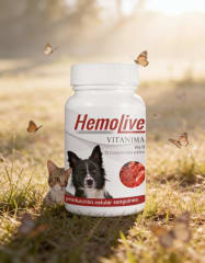 HEMOLIVET