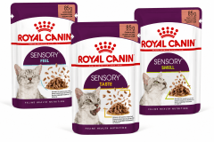 ROYAL CANIN SACHET FELINO SENSORY 85G