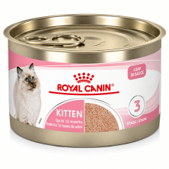 ROYAL CANIN LATA KITTEN 145G