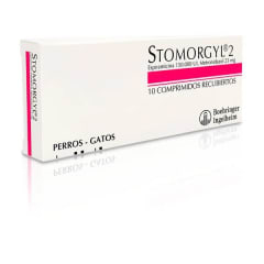 STOMORGYL 2