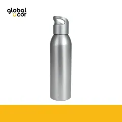 Botella metálica AGLU 650cc Plata