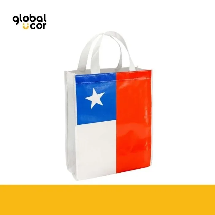 Bolsa TNT Bandera Chilena Chica1