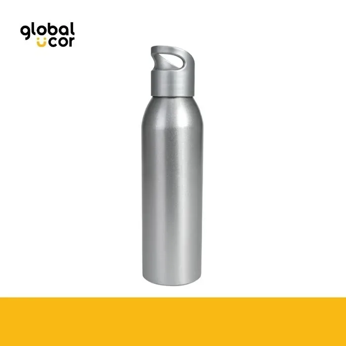 Botella metálica AGLU 650cc Plata1